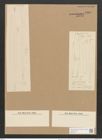 Nitzschia linearis var. tenuis & "var. silesiana" Grunow (de-Toni-Nr.: Genus 47, Species 2111) Zeichnungen Sammlung Grunow Nr. 4568 (NHMW-BOT-W0372177)